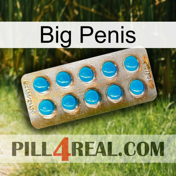 Big Penis new09.jpg